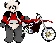 Shelly's Biker Bear
