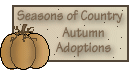 Seasons of Country